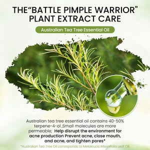 Vente en gros d'ensembles de soins de la peau à l'huile essentielle d'arbre à thé australien, personnalisés OEM/ODM |   Kit de soin anti-acné et anti-graisse - Product Image 3