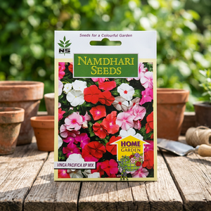 Graines de Vinca Pac XP Mix, Graines de fleurs séchées multicolores, vibrantes, verticales, résistantes à la chaleur, pleine floraison, origine indienne - Product Image 2