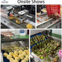 Productielijn voor vers fruit, motor van roestvrij staal 304, op maat gemaakte verwerkingsapparatuur voor passievrucht, ananas en kiwi