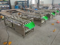 Orbitale Fruitsorteermachine Oranje Walnoot Sorteerder Sizer Grader Tomaat Mangosteen Walnoot Sorteermachine