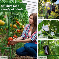 Piquets réglables en plastique pivoine Pack métal plante Support anneau jardin treillis pieu tomate spirale Cages vert maison kits