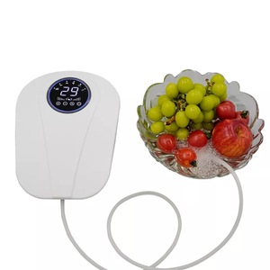 Fruit And Vegetable Cleaner Ozone Vegetable Washer Machine Household Outdoor Picnic Food Purifier