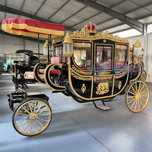 Fabricant de calèches royales noires pour mariages indiens, chariots de tourisme tirés par des chevaux, et carrosses de mariage. - Product Image 5