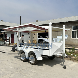 Carroza Fúnebre Eléctrica Vintage con Certificación CE Europea para Uso en Funerarias Locales - Product Image 6