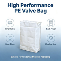 Sacs à valve en LDPE à fond plat personnalisés avec soudure thermique, imperméables, imprimés en gravure pour l'emballage de poudres chimiques
