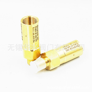 Válvula de seguridad Shanghai Baitu DA21F-40T de 1 pulgada roscada para alivio de presión de gas a baja temperatura - Product Image 4