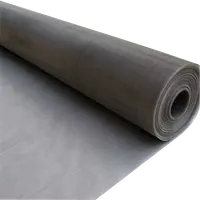 Fil maille/filet/tissu filtrant en acier inoxydable 316L, 2 pièces, 5, 10, 20, 25, 50, 100 microns, ultra fin, 304, 316