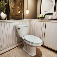 Ensemble WC monobloc en céramique moderne, traditionnel, à double chasse, à sortie verticale, pour personnes à mobilité réduite