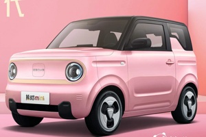 2024 rinnovata Geely Panda Mini auto elettrica Hot Sell versione 200km da cavaliere con 4 posti ad alta velocità 3 porte 4 posti M - Product Image 4