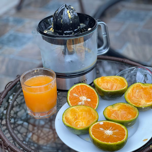 Fuente de Alimentación USB Eléctrica de 45W JE623D, Capacidad de 700ml, Motor AC, Carcasa de Plástico, Cuchillas de Hierro, Multifuncional, Fácil de Transportar, Exprimidor de Jugos - Product Image 4