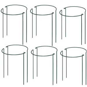 Piquets de Support de plantes de jardin en métal Semi-circulaire, Support pour fleurs, 10 pièces - Product Image 5