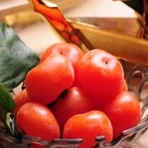 Fornitura di fabbrica campione gratuito di frutta cachi in polvere di cachi istantaneo in polvere di grandi dimensioni - Product Image 3