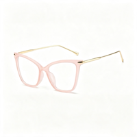 Lunettes anti-lumière bleue rétro SM2460, monture PC unisexe avec accents métalliques dorés