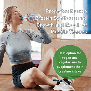 Creatina Monohidrato en Polvo de Marca Privada OEM, Suplemento Dietético para Apoyar la Recuperación del Entrenamiento y el Desarrollo de la Fuerza Muscular - Product Image 6