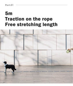 สายจูงสุนัขไฟ LED แบบยืดหดได้พร้อมกระเป๋าใส่และไฟฉายใช้กลางแจ้งสำหรับสัตว์เลี้ยงเดินได้<span class=keywords><strong>2025</strong></span> - Product Image 5