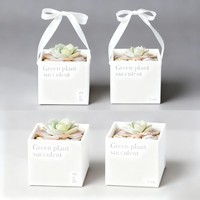 Boîtes de poignée de plantes rigides blanches Offre Spéciale Boîte de papier d'affaires et de shopping biodégradable Boîte de plantes succulentes écologique à l'encre de soja