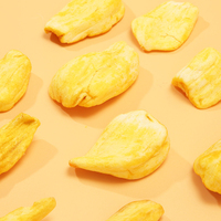 Vietnamese Jackfruit Chips Knapperige Gedroogde Jackfruit Fruit Snack 40g Zakje 12 Maanden Houdbaarheid