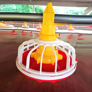 Attrezzature per allevamento di bestiame e pollame, pollame e attrezzature per allevamento di polli, sistema di alimentazione automatica - Product Image 2