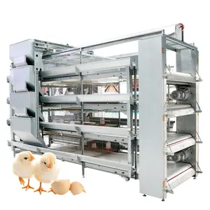 Equipo de granja de pollos de 4 niveles tipo H, sistema automático de jaula para pollos