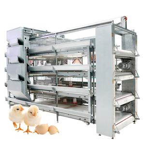 Système de 9 balles pour poules, équipement pour ferme à balles, 4 niveaux, Type H, jour automatique, pour bébés - Product Image 1