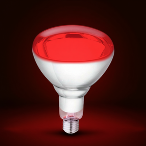 Bombilla Infrarroja de 150W 230V E27, Lámpara de Terapia de Luz Roja - Product Image 3