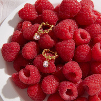 Pendientes Colgantes de Acero Inoxidable con Circonita Blanca, Textura Lujosa, Vibrante y Radiante, para el Día de San Valentín, Cita Romántica