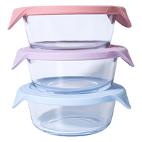 Bol en silicone borosilicate de qualité alimentaire avec couvercle en silicone anti-fuite, compatible micro-ondes et congélateur, couleur Pantone personnalisée, récipient de rangement