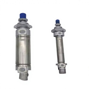 Brand New Original Dsnu-25-250-p-a Round Cylinder 193991 <b>Double</b> Acting, 25mm Bore 250mm Stroke With Magnet - Product Image 1