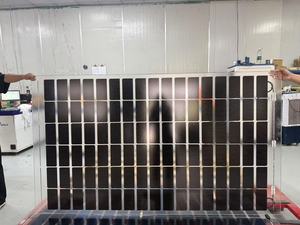 Paneles Solares Transparentes Bifaciales Personalizados para Invernaderos, BIPV FS225W - Product Image 5