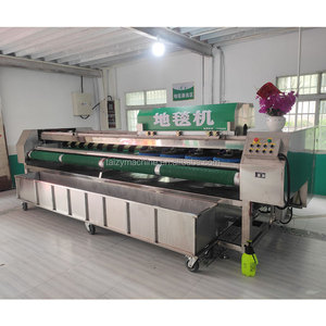 Macchina Automatica per Lavaggio Tappeti e Moquette - Product Image 5