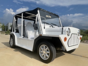Auto Elettrica con Batteria al Litio 96V, Moke Californiana Elettrica 42-MPH, Veicolo Elettrico Moke - Product Image 2