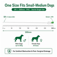 Cathéter vétérinaire pour chien avec fil-guide stérile