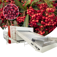 Schisandra-bes droogmachine met gaasband, fruitdroogmachine, dehydrator, droogapparaat voor fruit, droogapparatuur met gaasband