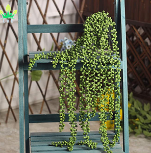 4 Cây Mọng Nước Nhân Tạo Cây Treo Chuỗi Ngọc Trai Giả Để Trang Trí Tường Nhà Vườn (Mỗi Chiều Dài 24 Inch) - Product Image 4