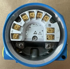 Endress Hauser ITEMP TMT162 Convertisseur de signal de thermocouple RTD à double entrée universelle monté sur site - Product Image 3