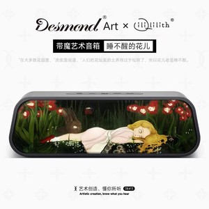 DE413 Haut-parleur sans fil <span class=keywords><strong>de</strong></span> haute qualité avec deux enceintes, design rectangulaire, karaoké portable d'extérieur - Product Image 2