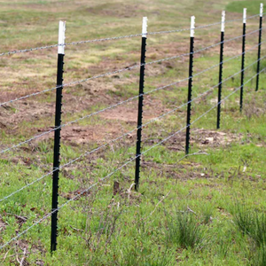 Picchetto di alta qualità zincato/bitume rivestito T Post natura <span class=keywords><strong>legno</strong></span> fattoria recinzione <span class=keywords><strong>per</strong></span> cantiere trattato a pressione - Product Image 5