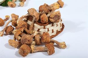 Suministro de fábrica al por mayor de alta calidad 40% Polisacáridos orgánicos Agaricus Blazei <span class=keywords><strong>Murill</strong></span> secos - Product Image 3