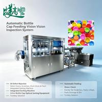 Équipement d'inspection visuelle IA haute vitesse BMG pour la détection de défauts sur toute la surface à 360° et le tri automatique du plastique