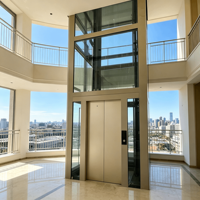 Villa Konutları İçin Traksiyon Sistemli Dişlisiz Modern Özel Yolcu Asansörü