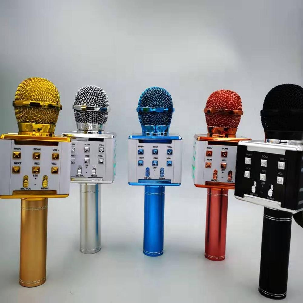 Dazzling Wireless K Song Set - DS868 Karaoke Mic for Kids