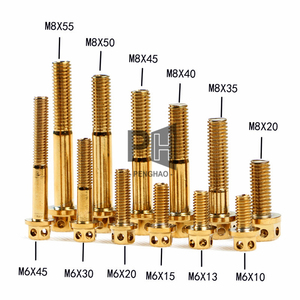 Hợp kim thép titan mạ vàng vít tùy chỉnh GR5 bault <span class=keywords><strong>ti</strong></span> vít <span class=keywords><strong>Fastener</strong></span> M4 M5 M8 <span class=keywords><strong>M10</strong></span> 304 Hex lục giác ổ cắm vít - Product Image 6