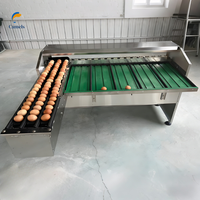 Mini trieuse automatique d'œufs, machine de triage des œufs de poule