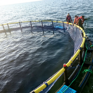 Équipement d'aquaculture d'<span class=keywords><strong>occasion</strong></span> de haute qualité à vendre, cage d'élevage de poissons pour le tilapia - Product Image 1