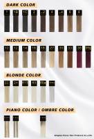 Beauté 2025 Couleur des cheveux Crème-Remy 100 Cheveux Humains Échantillon PROFESSIONNEL Swatch Couleur Anneau Cheveux Pour Salon