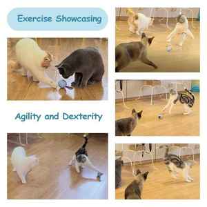 Juguete Interactivo <span class=keywords><strong>de</strong></span> Lujo para Perros y Gatos, Bola Mágica LED Inteligente Eléctrica Ecológica, en Caja <span class=keywords><strong>de</strong></span> Plástico - Product Image 4