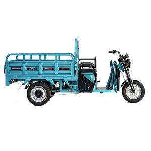 Tricycle à poussoir parental, tricycle électrique cargo 1500W, tricycle à moteur à moyeu 5 roues, tricycle à moteur thermique - Product Image 6