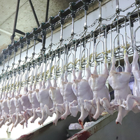 100Bph-13000Bph Abattoir de poulet Ligne de machine d'abattage/habillage