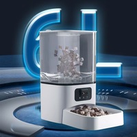 Meistverkaufter Tierbedarfsartikel: 6L Großer Transparenter Futterspender mit Fotoelektrischem Anti-Verstopfungs-System und Zeitgesteuerter Mengenabgabe