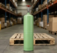 Nouveaux produits : Bouteille de gaz He légère et jetable de 0,6 L pour fournitures de fête